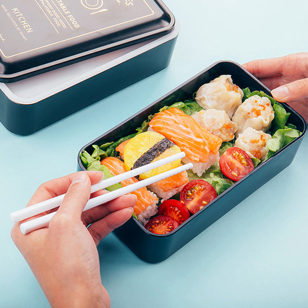 Double Layer Thermal Lunch Box - ApolloBox