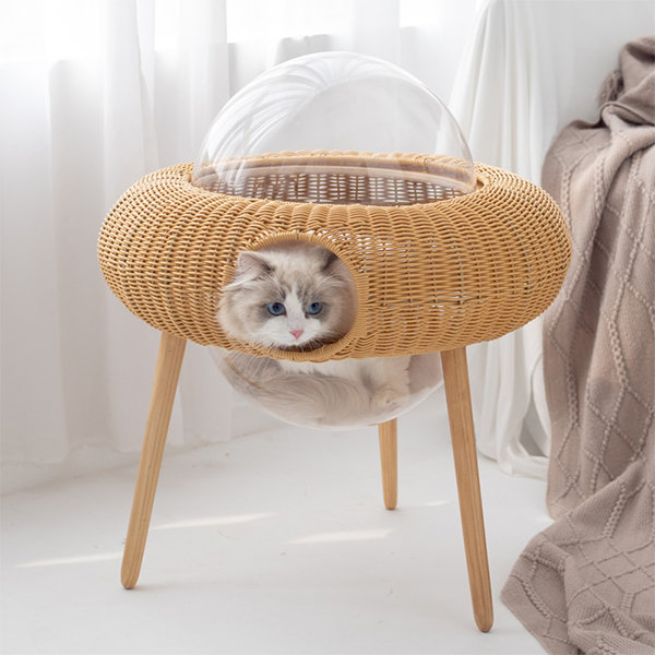 UFO Rattan Cat House Wood from Apollo Box