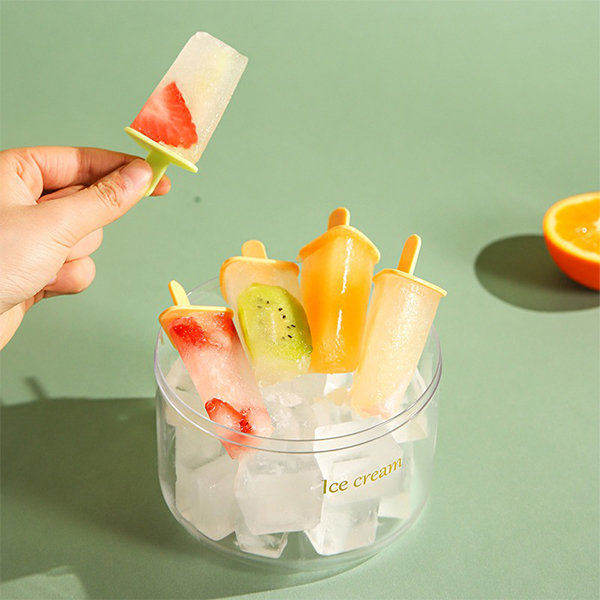 Popsicle Molds from Apollo Box