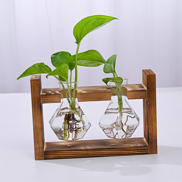 Hydroponics Glass Vase - Wooden Base - Creative Diamond and Heart Shape ...