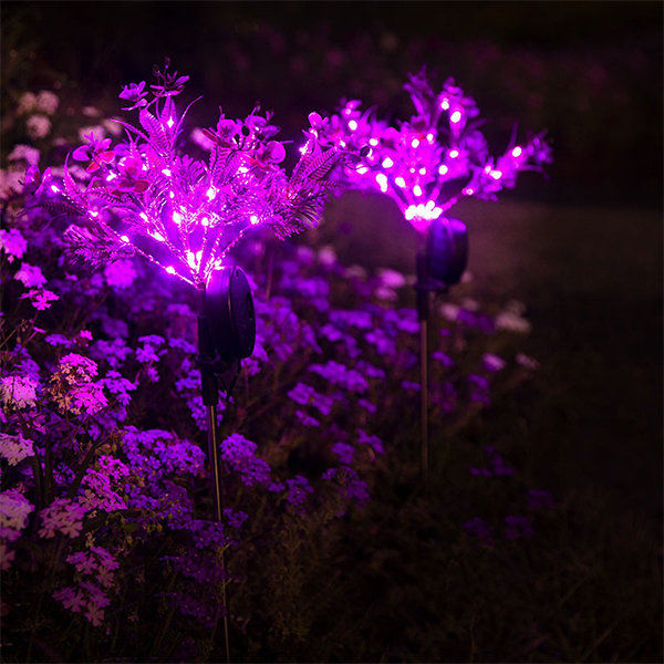 AURAXY LED Decorative Solar Outdoor Lighting