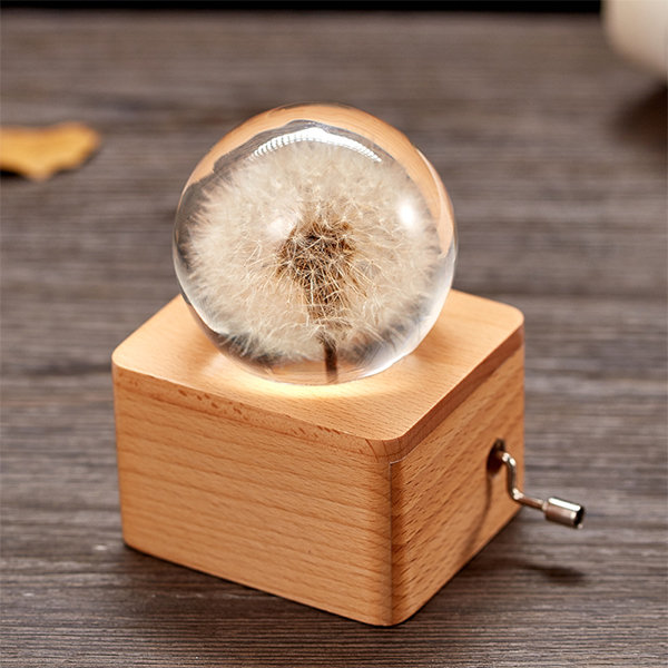 Crystal Ball Music Box - Beech Wood - Glass - Preserved Flower Inside from  Apollo Box