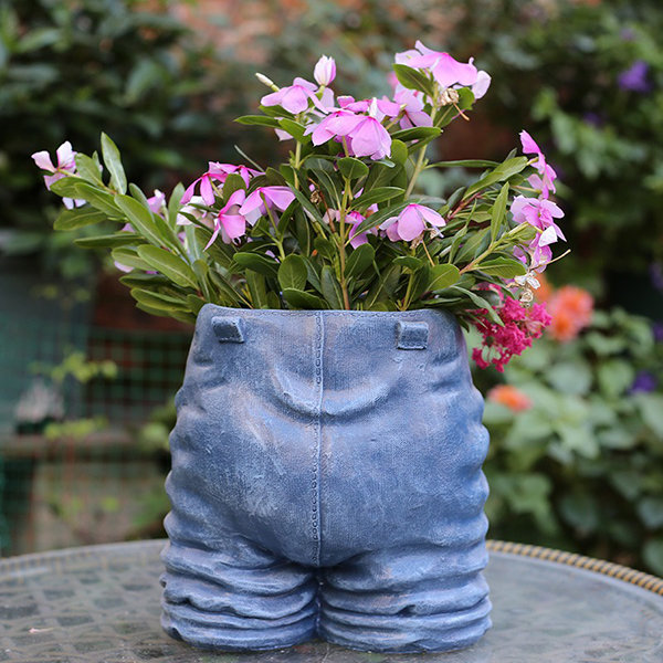 Cowboy Jeans with Cat Inspired Planter - Resin - Blue - Red - ApolloBox