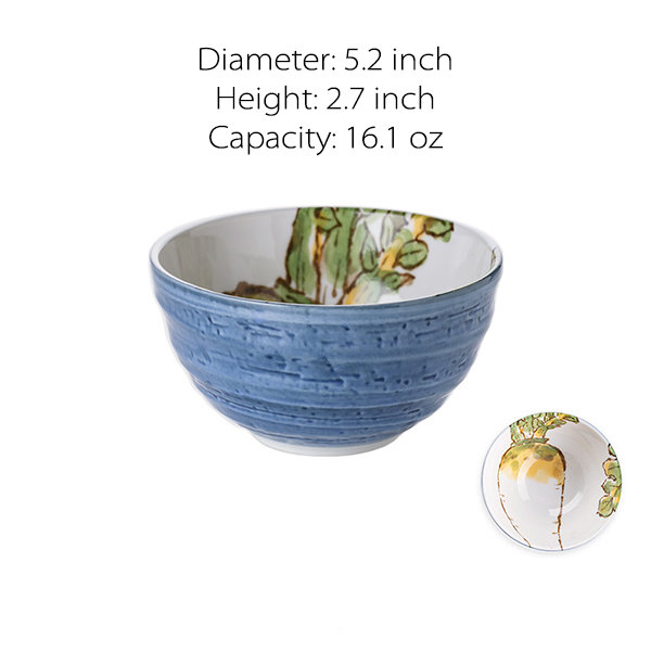 ZPTECH Vintage Ceramic Salad Bowl Travel Portable