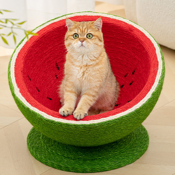 Watermelon shop cat bed