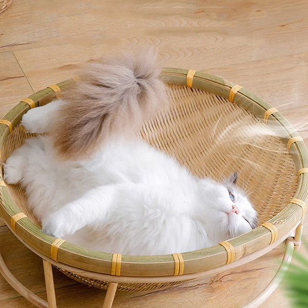 Bamboo cat bed hotsell