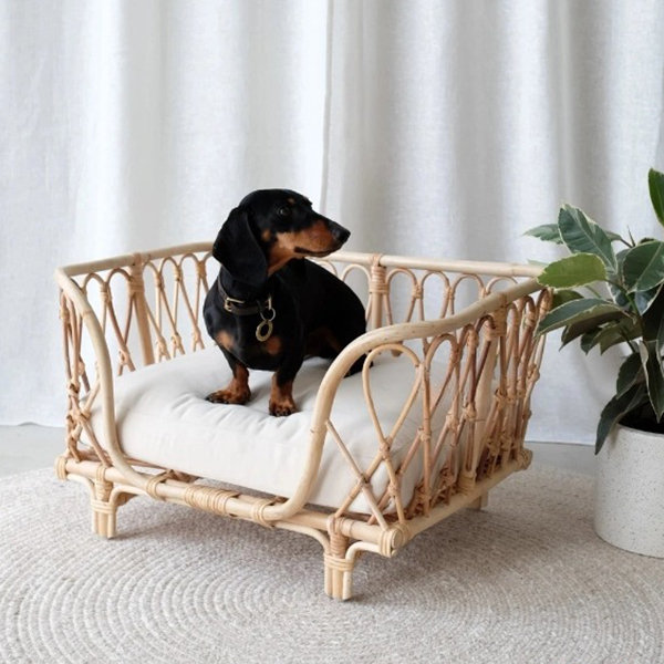 Large cane 2024 dog bed