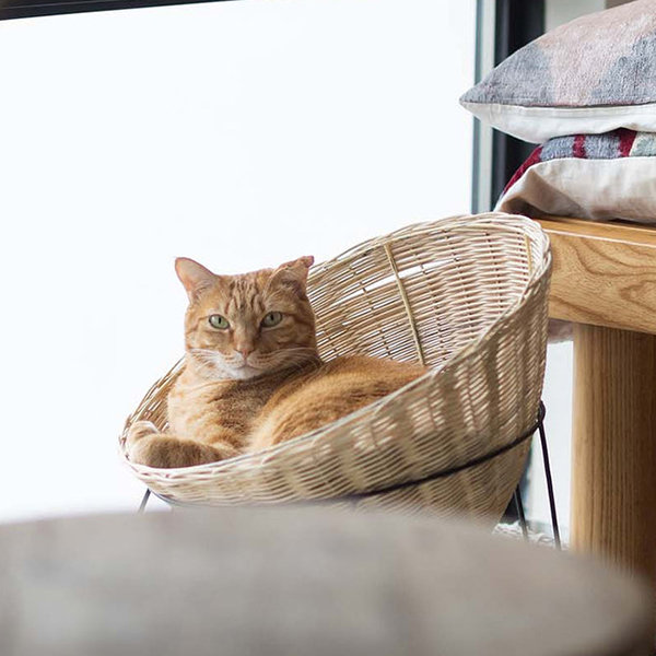 Wicker basket outlet for cats