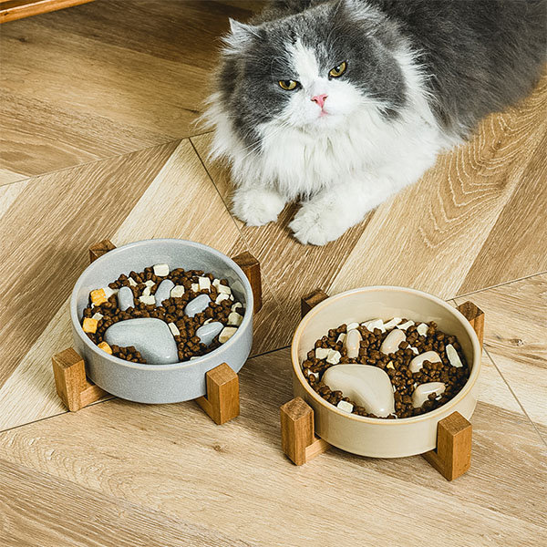 Elevated Cat Bowl, Ceramic Slow Feeder Cat Puzzle Food Bowl Water