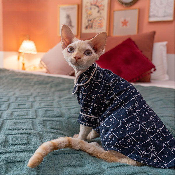 Cotton best sale cat pajamas