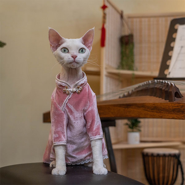 Cat Pink Elegance Cheongsam - Velvet - Pet Accessories
