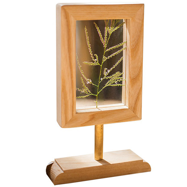 Double-Sided Photo Frames - Glass and Wood - Brown - Natural from Apollo Box