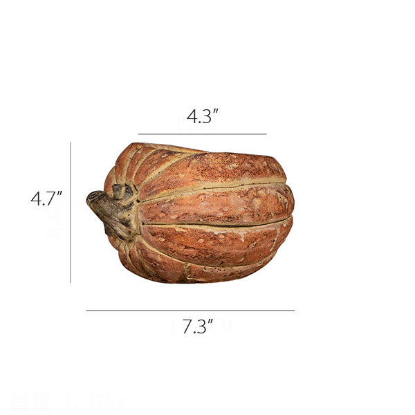 https://sp.apolloboxassets.com/vendor/product/productImages/2023-08-12/iu60GArray5.jpg