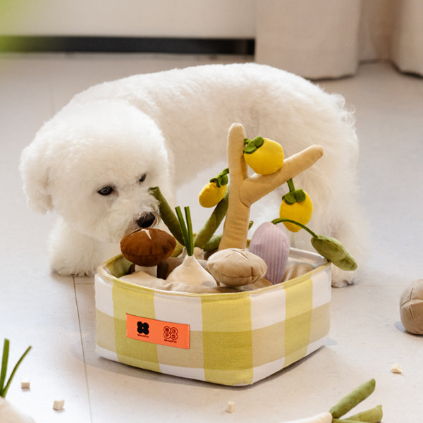 Veggie Pet Toy - Hide Treats Inside - 6 Pcs from Apollo Box