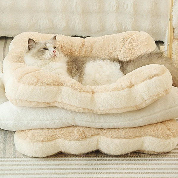 Cat 2025 sandwich bed