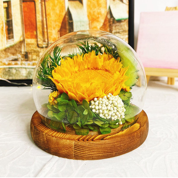 Dried Flower Frame Decoration - Wood - Glass - Green - Brown - Yellow from  Apollo Box