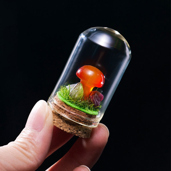 Mini Terrarium With LIVE Moss, Mushrooms and Gemstone 