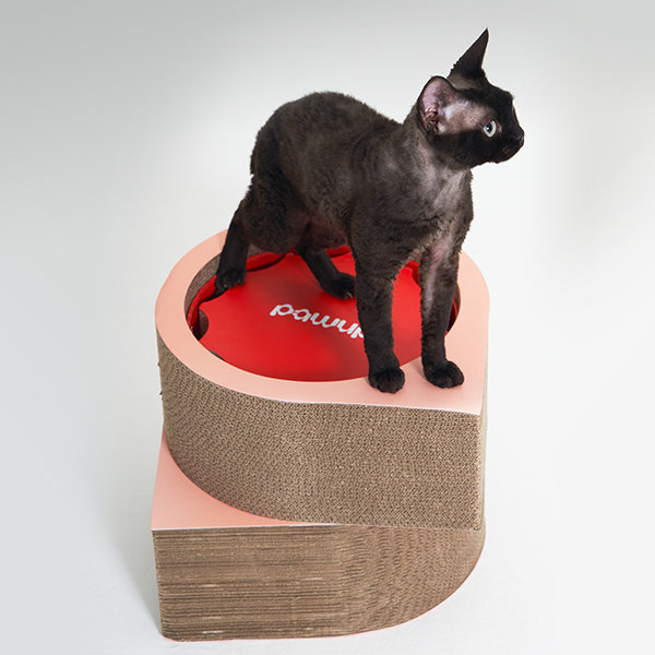 Cardboard sale cat tunnel