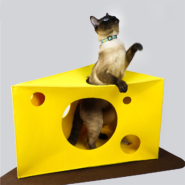 Cheese Cube Cat House - Interactive Play - Feline Fun from Apollo Box