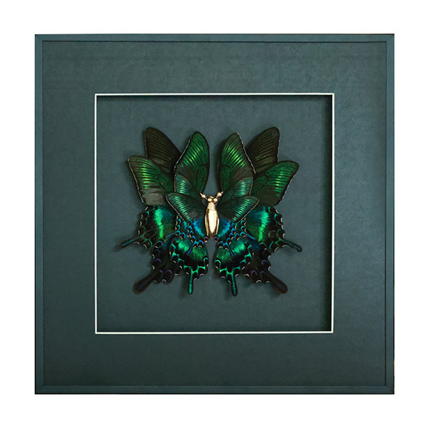 Glass Artwork of Emerald Swallowtail Butterfly - Nature-Inspired Decor -  Elegant Wall Accent - ApolloBox