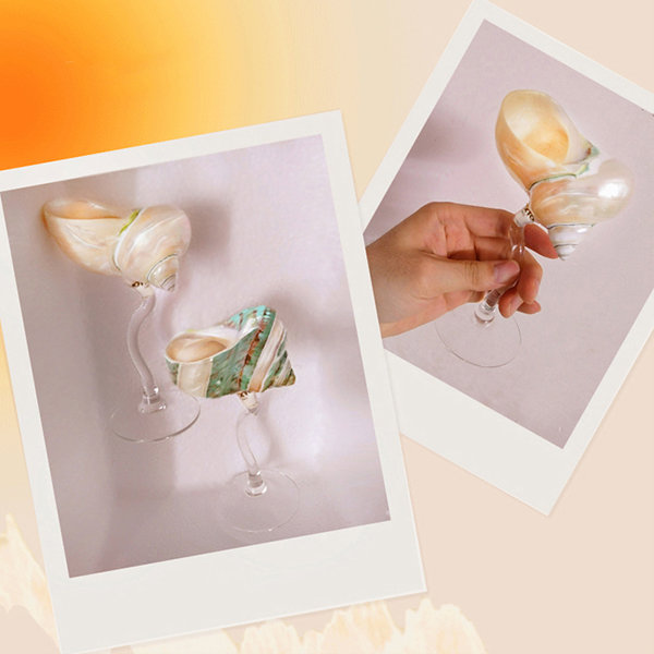 Seashell Conch Glassware - Glass - Shell
