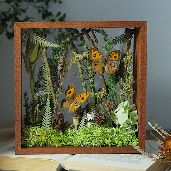 Butterfly Specimen Frame Decor - Enchanted Forest Scene - Nature-Inspired  Display - ApolloBox
