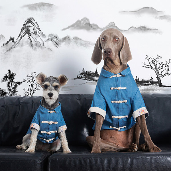 Traditional Chinese Dog Apparel - Adorable Styles - Creative Design