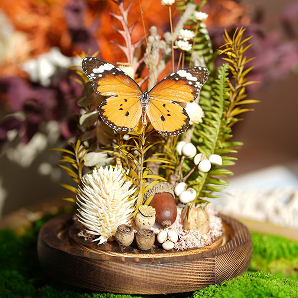 Butterfly Specimen Glass Dome Display - Nature's Artistry - Elegant  Ornament - ApolloBox